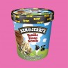 VANILLA PECAN - BEN & JERRY'S